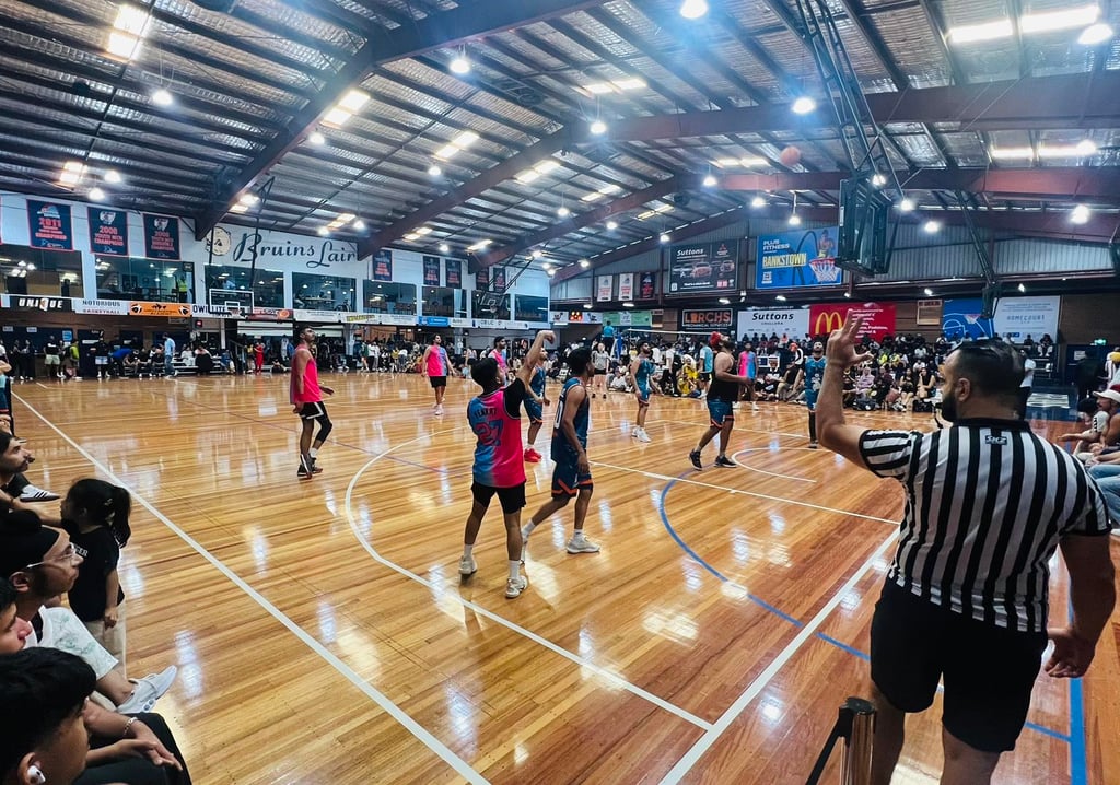 Punjab Lions team in action